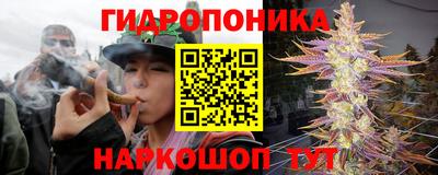 mdpv Севастополь